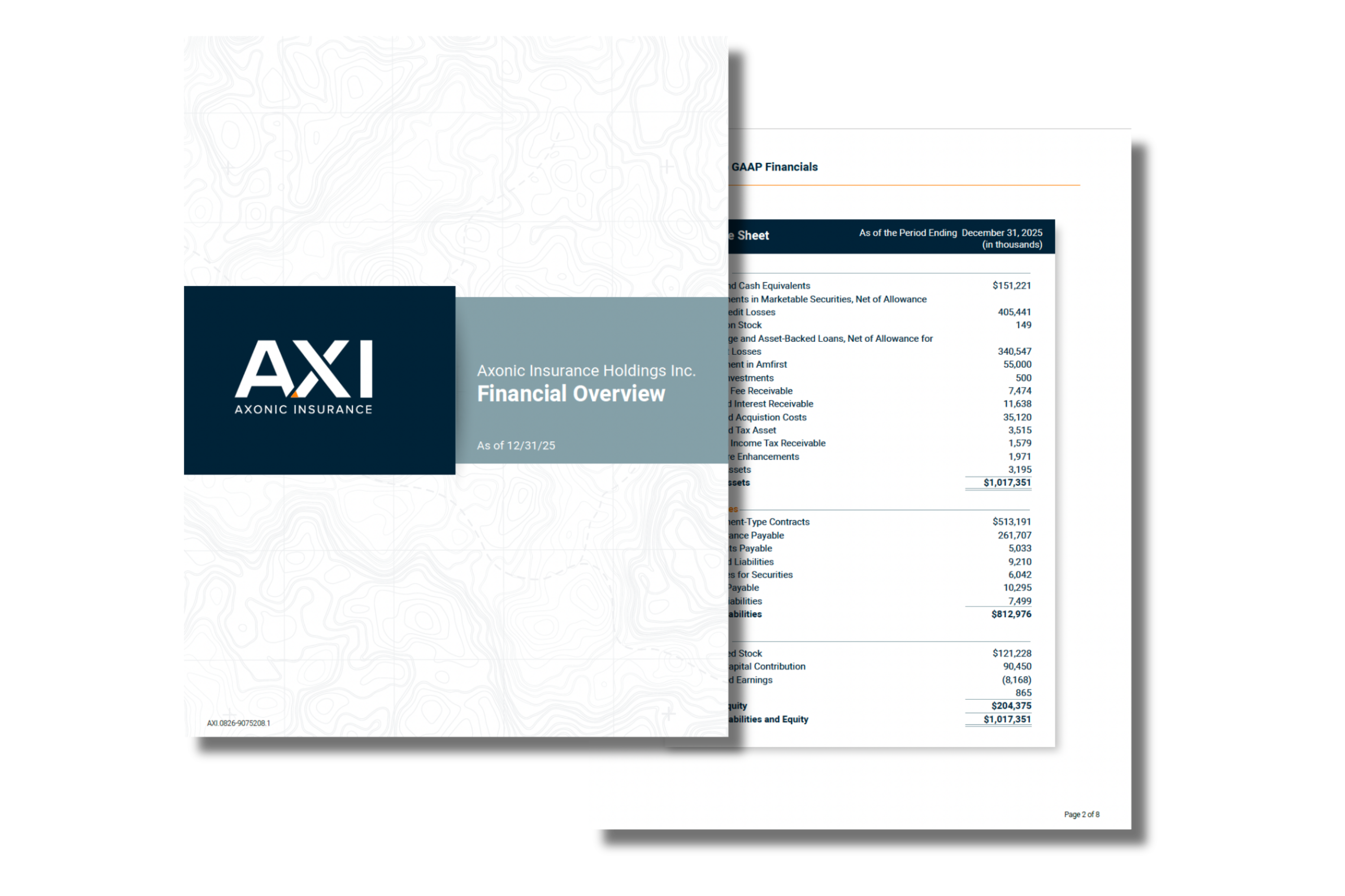 Financial Overview Images (2)