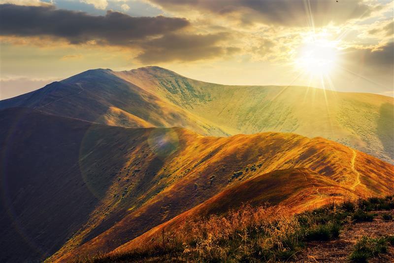 shutterstock_2389011265 1