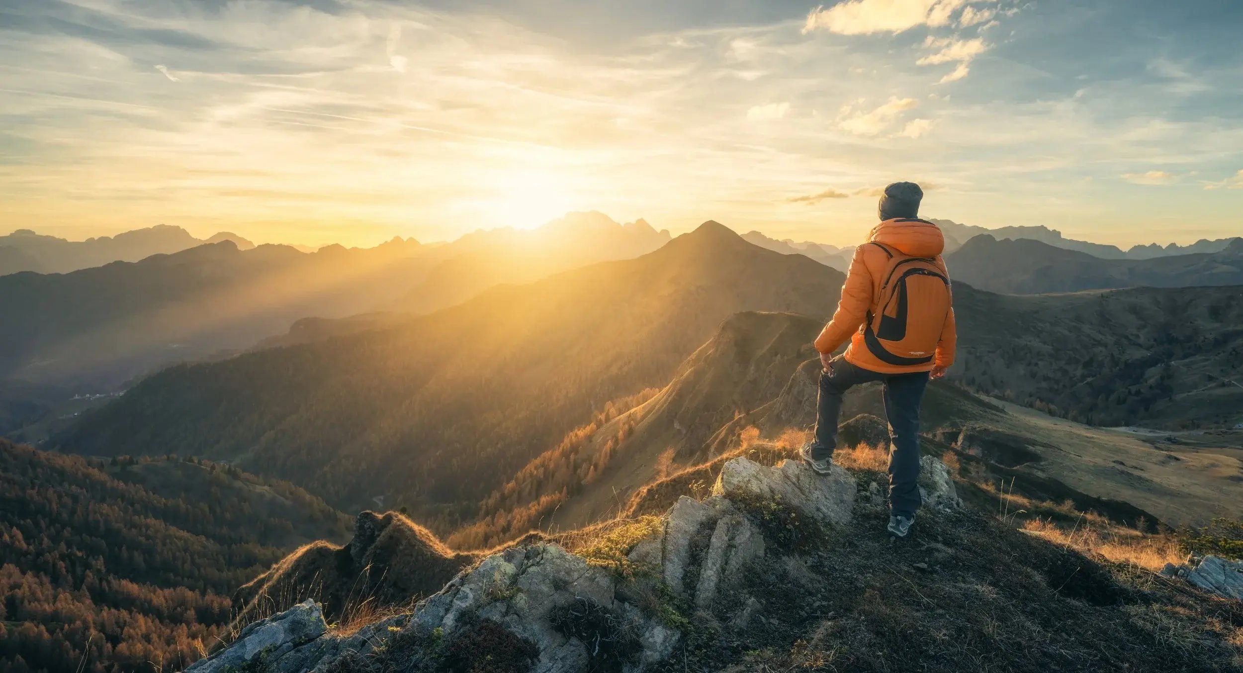 shutterstock_2487367275_copy